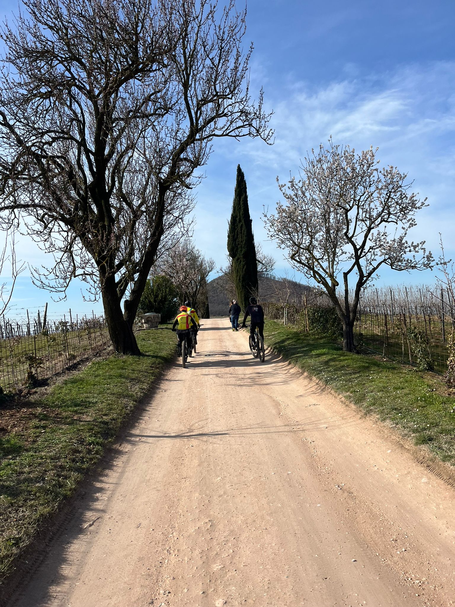 Foto EsteBike