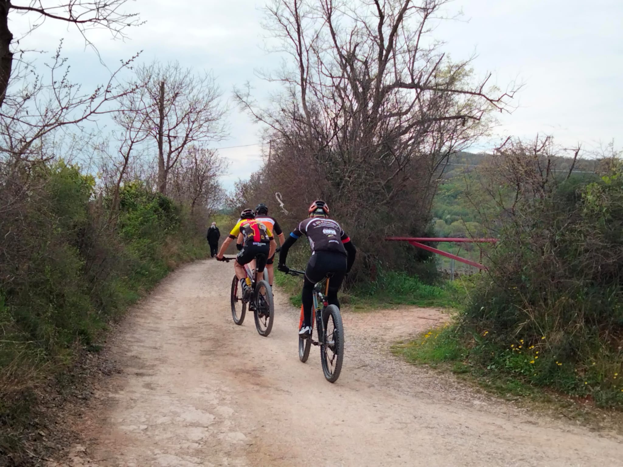 Foto dal gruppo EsteBike