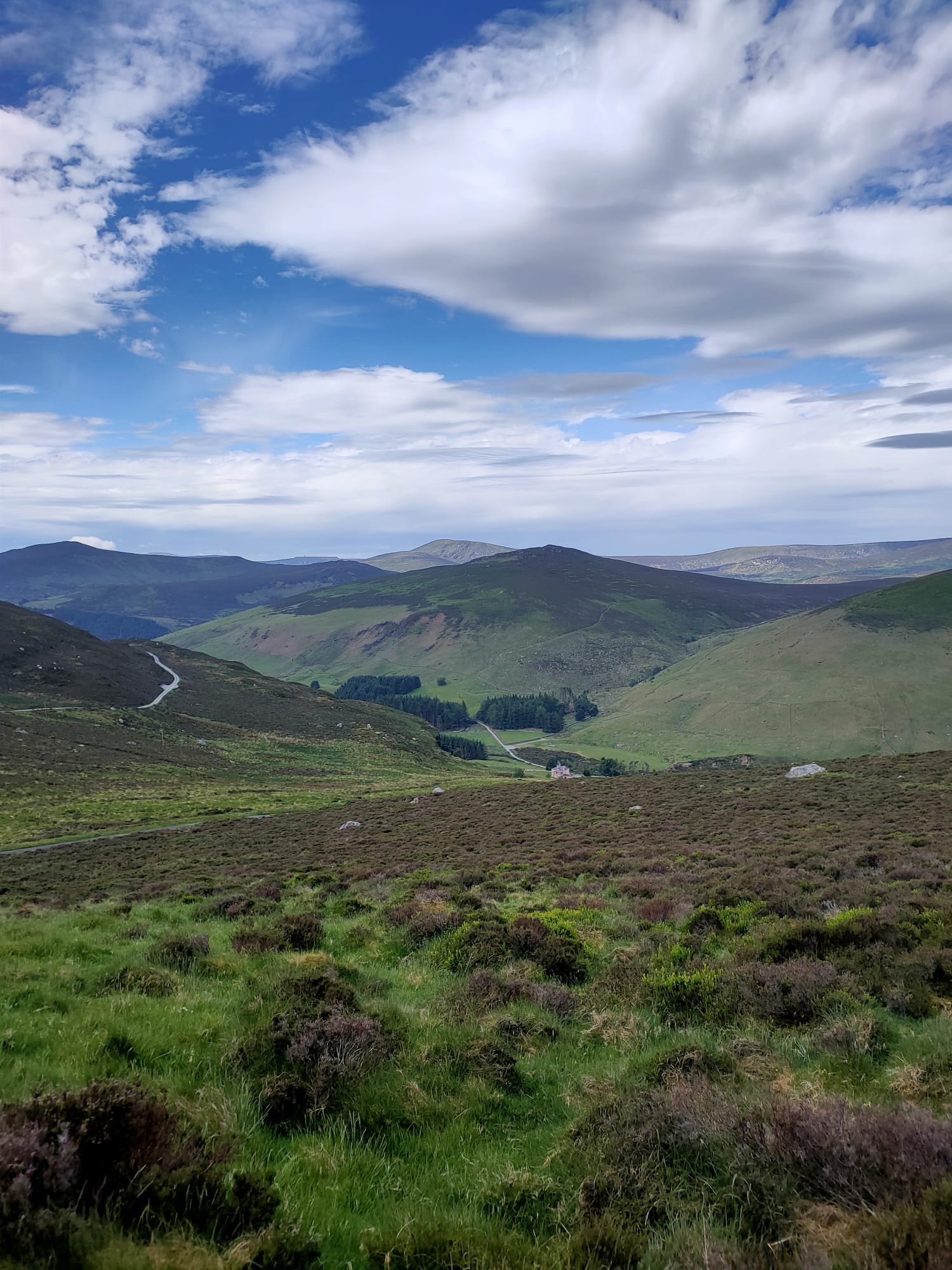 Panorama sulle vallate delle Wicklow Mountains dal Sally Gap