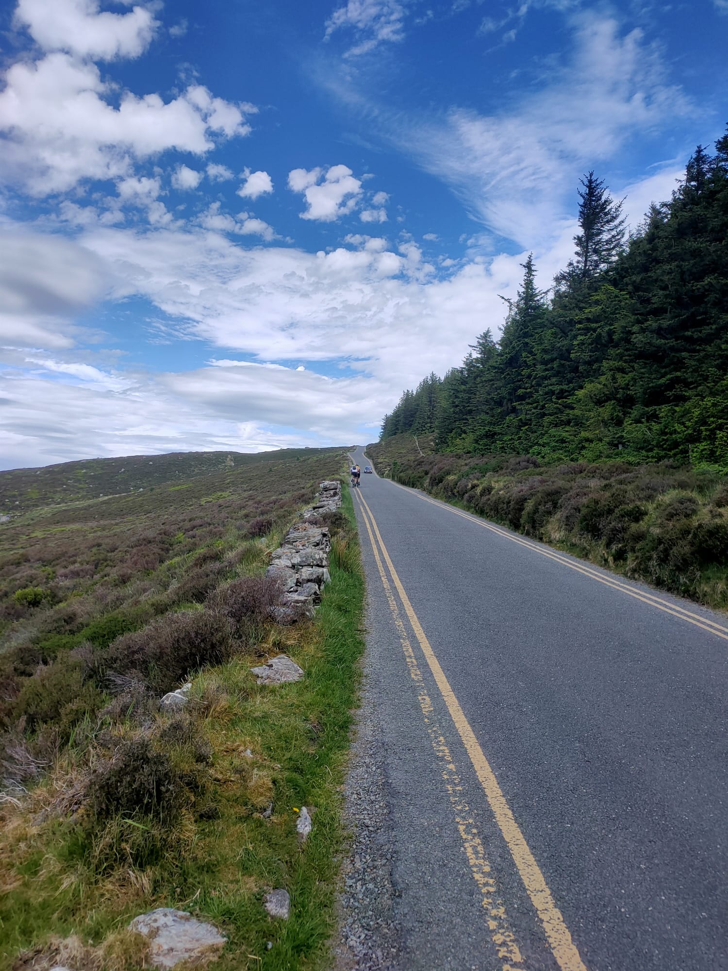 Irlanda 2026 - Discesa verso Glencullen